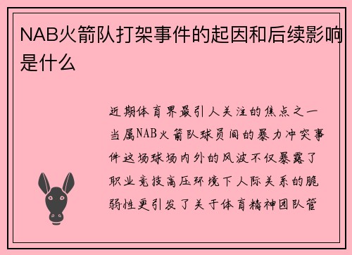 NAB火箭队打架事件的起因和后续影响是什么
